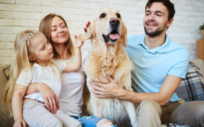 Pet Care Franchises: Turn Your Passion for Pets Into a Profitable Business