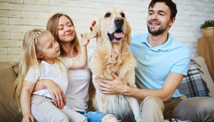 Pet Care Franchises: Turn Your Passion for Pets Into a Profitable Business